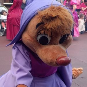 Meet your Posher, David